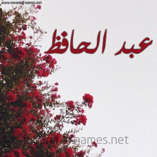 شكل 18 صوره الورد الأحمر للإسم بخط رقعة صورة اسم عبد الحافظ ABD-ALHAFZ